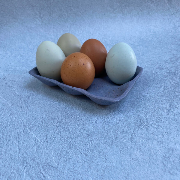 Purple Egg Tray, Holds 6 Eggs